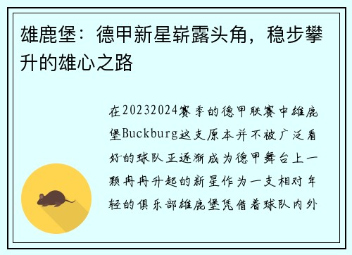 雄鹿堡：德甲新星崭露头角，稳步攀升的雄心之路